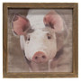 Pig Portrait Framed Print Wood Frame G36004