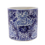 Blue And White Orchid Pot Blooming Flower (1605G)