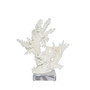 Branch Coral 8-10 Inch On Acrylic Base (8075-S)