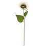 Blooming Sunflower Stem White F18128