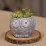 Owl Resin Planter GRAF24039 By CWI Gifts