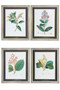 Wood Rectangle Wall Art On Frame With Glass, "Botanical Plant Theme" Printed In Colored And Metal Back Hangers Assortment Of Four Painted Finish Beige (Pack Of 4) 57837-AST