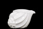 Ceramic Conch Seashell Figurine Sm Gloss Finish White (Pack Of 6) 73100