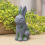 Dark Gray Resin Bunny GRAF24005