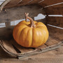 Heirloom Resin Pumpkin 680623
