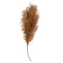 *Weeping Pampas Grass Branch Brown F18224 By CWI Gifts