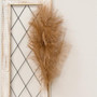 *Weeping Pampas Grass Branch Brown F18224 By CWI Gifts