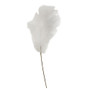 *Weeping Pampas Grass Branch White F18226 By CWI Gifts