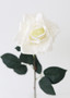 Cream Real Touch Rose Fake Flower - 20.5" SLK-FSR422-WH