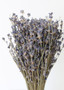 Natural Fragrant Dried Lavender Bundle - 6-14" LJF-LAVENDER