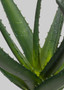 Faux Succulents Aloe Plant - 18.5" WIN-30307-GR