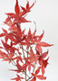 Fall Red Artificial Japanese Maple Leaves - 27" SLK-PSM008-RE/DK