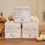 Friendsgiving Square Block 3 Asstd. (Pack Of 3) G36132 By CWI Gifts