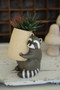 Ceramic Raccoon Planter (CDV2197)