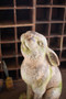 Faux Concrete Rabbit - Head Up (CHE1470)