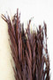Bundle Of 12 Khejur Leaves - Dark Brown (Pack Of 6) (NGLB1061)