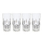 Hamilton 14Oz Hiball Glasses Set Of 4 (895089)