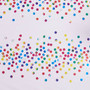 Janie Rainbow Iridescent Metallic Dot Duvet Cover Set - Full/Queen ID12-2183