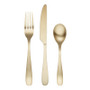 Eliana Pvd-Champagne Satin 18/0 12-Piece Place Setting (503212CBWC18)