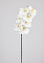 White Faux Real Touch Phalaenopsis Orchid - 37.5" WIN-95161-WW