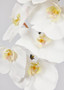 White Faux Real Touch Phalaenopsis Orchid - 37.5" WIN-95161-WW