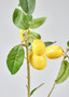 Artificial Lemon Fruit Branch - 37.5" WIN-06128-YL