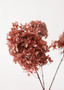Mauve Pink Preserved Hydrangea Flowers - 12-16" OCH-01520-100