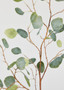Artificial Silver Dollar Eucalyptus Branch - 44" WIN-95969-GR