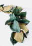 Artificial Magnolia Leaf Garland - 82" SLK-PGM012-GR