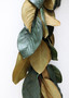 Artificial Magnolia Leaf Garland - 82" SLK-PGM012-GR