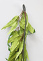 Fake Eucalyptus Leaf Garland - 70.5" SLK-PGE105-GR