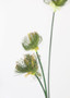 Artificial Grasses Papyrus Reed Bundle - 32.5" SLK-PSG322-GR