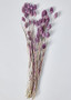 Purple Dried Phalaris Grass Bundle - 15-18" OCH-42020-430