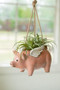 Ceramic Hanging Flying Pig Planter (CDV2243)