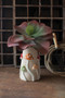 Ceramic Mushroom Vase (CDV2271)