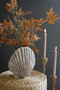 Clay Scallop Shell Vase (H4409)