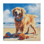 Beach Dogs Canvas Wall Art ID95C-0058