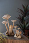 Set Of Two Carved Teak Wood Mushrooms (DRA1029)