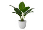 17" Tall Decorative Aureum Artificial Plant - White Pot (I 9502)