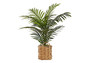 24" Tall Decorative Palm Artificial Plant - Beige Woven Basket (I 9503)