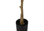 52" Tall Decorative Rubber Artificial Plant - Black Pot (I 9513)