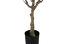 46" Tall Decorative Eucalyptus Artificial Plant - Black Pot (I 9518)