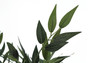 47" Tall Decorative Acacia Artificial Plant - Black Pot (I 9520)