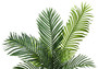 47" Tall Decorative Palm Artificial Plant - Black Pot (I 9537)