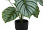 24" Tall Decorative Calathea Artificial Plant - Black Pot (I 9577)
