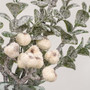 Snow Berries & Icy Boxwood Pick 11" F230381