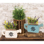 Rustic Wood Watering Can Planter 2 Assorted (Pack Of 2) G24102