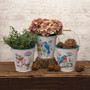 Spring Birds & Blooms Metal Bucket 3 Assorted (Pack Of 3) G2717050