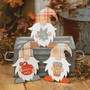Fall Love Easel Gnome 3 Assorted (Pack Of 3) G37417