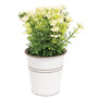White Astilbe Flowers In White Metal Garden Bucket GB70141